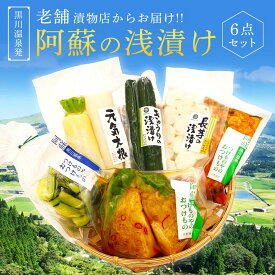 【ふるさと納税】 浅漬け 6点 セット 大根 きゅうり 茄子 ナス 長芋 キャベツ 白菜キムチ 漬物 キムチ 詰め合わせ 野菜 お取り寄せ ギフト 贈答用 黒川温泉 平野商店 九州 熊本 阿蘇 南小国町 送料無料