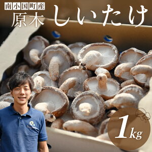 yӂ邳Ɣ[Łz 쏬Y ؂ 1kg ɏ ̂ LmR ő  VC^P   ɏ  Mtg p F{ h 쏬 