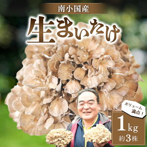 yӂ邳Ɣ[Łz 쏬Y ܂ 1kg 3 h{_ ̂ LmR ܂ }C^P   Mtg p F{ h 쏬 