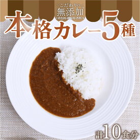 【ふるさと納税】 カレー スパイス レトルト 5種 200g 10食 スパイスカレー キーマカレー レトルトカレー 無添加 セット 詰め合わせ ご当地 ギフト 贈答用 キングフーズ 熊本 阿蘇 南小国町 送料無料