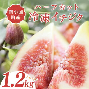 yӂ邳Ɣ[Łz 쏬Y Ⓚ C`WN 1.2kg n[tJbg  ԉ t[c ʕ _sgp w엿sgp e َq  W R|[g X[W[ e N H