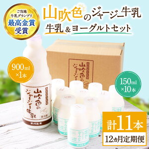 yӂ邳Ɣ[Łz 12  쉷 RF̃W[W[ ރ[Og 2 12 1N W[W[ 900ml ̂ރ[Og 150ml lߍ킹 Zbg i Mtg p R̂Ԃ