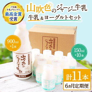 yӂ邳Ɣ[Łz 6  쉷 RF̃W[W[ ރ[Og 2 11{ 6 W[W[ 900ml ̂ރ[Og 150ml lߍ킹 Zbg i  Mtg p R̂