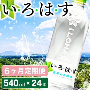 yӂ邳Ɣ[Łz 6  EÉE h̓VR 540ml 24{ ͂  VR 6 ~lEH[^[ ybg{g P[X h F{ 쏬 
