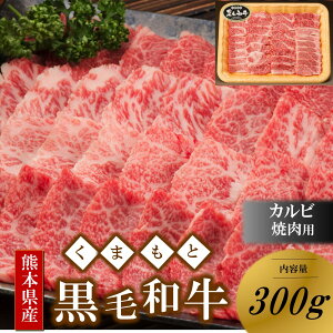 yӂ邳Ɣ[Łz ܂ƍјa F{Y јa Jr ēp 300g ē o[xL[ BBQ a   Y F{ h 쏬 쏬 