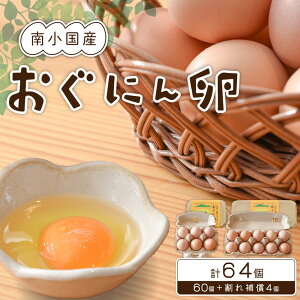 yӂ邳Ɣ[Łzy쏬Yz{{ňuɂ񗑁v 64i60+⏞4j Mtg F{ 쏬 