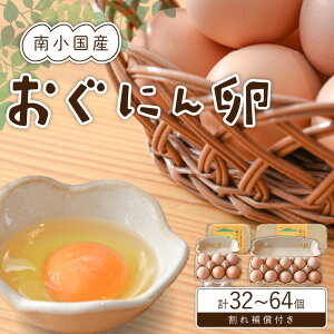 yӂ邳Ɣ[Łzy쏬Yz{{ňuɂ񗑁v 32/64 Mtg ̂ F{ 쏬 