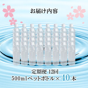 yӂ邳Ɣ[ŁzVJ 500ml xX TNVJ VJܗL99mg/L  ~lEH[^[ r[Ly[Ώ VR 24{ 40{   ybg{g TtF[g Y