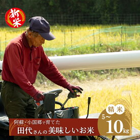 【ふるさと納税】令和7年産 田代さんの美味しいお米 精米 5kg 10kg 産地直送 生産者直送 ノンブレンド米 単一原料 お米 白米 精白米 銘柄おまかせ あきげしき ひのひかり こしひかり 阿蘇 小国町 国産 日本産 地場産 贈答 送料無料【地場産品基準：類型1】