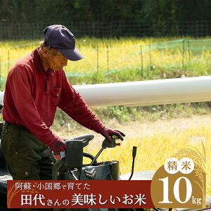 yӂ邳Ɣ[Łzߘa7NY V cコ̔  5kg 10kg Yn YҒ muh Pꌴ    ܂  Ђ̂Ђ Ђ h