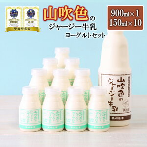 yӂ邳Ɣ[ŁzS[f~N  900ml ރ[Og 150ml lߍ킹 Mtg  Zbg  F{ h   ō RF̃W[W[ ō  ̕]R
