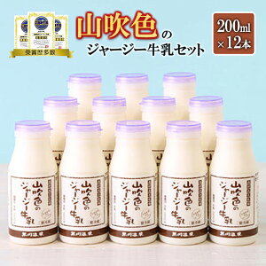 yӂ邳Ɣ[ŁzW[W[  200ml 12{ Mtg  Zbg  nOv ō F{ h   RF̃W[W[ R̂Ԃ ō Mtg 