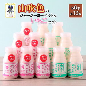 yӂ邳Ɣ[ŁzRF̃W[W[[Og v[  2 e6{ v12{ b 5ȏ ቷE fނ̖ Mtg  J RF̃W[W[ Zbg FOODEX JAPAN 