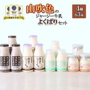 yӂ邳Ɣ[ŁzRF̃W[W[ ރ[Og JtFI v[[Og  e3{ v12{ b 5ȏ ቷE fނ̖ Mtg  悭΂Zbg FOOD
