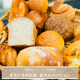 【ふるさと納税】そらいろのたね 熊本 阿蘇 小国町 わいた 山川 手作りパン パンセット 詰め合わせ レーズン クロワッサン ジャージーミルク 木の実 チーズ クリーム セット 人気 ハンドメイド 創業20年以上 老舗 ツリーハウス 冷凍 送料無料【地場産品：類型3】