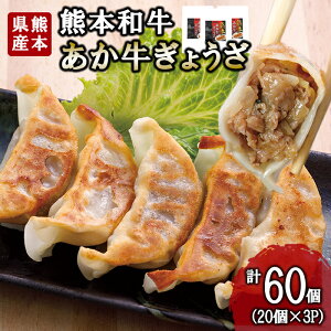 yӂ邳Ɣ[ŁzF{a  F{Y  Hi h F{ јa  a n 100%  Lq 傤 20 3Zbg v60 W[V[ y  т̂ F{