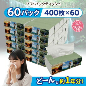 【ふるさと納税】 ソフトパックティッシュ 60パック 400枚 200組 小国町オリジナル ティッシュペーパー ピュアパルプ 柔らか コンパクト ティッシュ 生活応援 日用品 必需品 まとめ買い 大容量 R8年7月以降 お届けまで最大3ヶ月以内 【地場産品基準：類型3ロ（企画立案）】