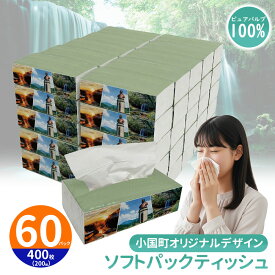 【ふるさと納税】ティッシュペーパー ピュアパルプ ソフトパックティッシュ 60パック×400枚 200組 柔らか コンパクト 生活応援 日用品 必需品 まとめ買い 常備品 備蓄 防災グッズ 熊本 小国町 観光スポット紹介 オリジナル 送料無料 【地場産品基準：類型3ロ（企画立案）】