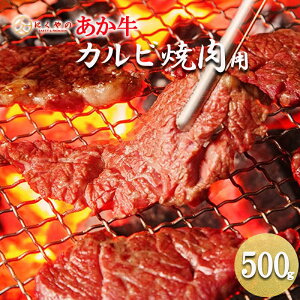 yӂ邳Ɣ[ŁzYn ܂ Y F{ h a  јa 킵 Jr o 500g Ԑg TV ē Ă BBQ {Y ɂ V ͂  Mtg 