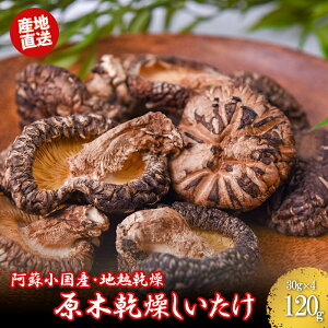 yӂ邳Ɣ[Łzh F{  Y ؂  ő hC nM 킢 SDGs 퉷ۊ 30g 4 v120g p 蕨 v[g Ε  ynY