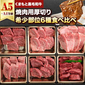 【ふるさと納税】牛肉 焼肉 焼き肉 食べ比べ 小分け A4 A5 くまもと黒毛和牛 焼き肉セット 牛 赤身 ヒレ フィレ サーロイン リブロース 上カルビ 希少部位 500g ふるさと納税 焼き肉 牛肉 焼肉用 冷凍 黒毛和牛 牛肉 送料無料 《2026年1月中旬-3月末頃出荷》
