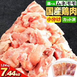 yӂ邳Ɣ[Łz{   Iׂ { {  or ނ˓ or n[tZbg Jbg {1.24kg`7.44kgs7-14ȓɏoח\(yj)t ӂ邳Ɣ[  { { {