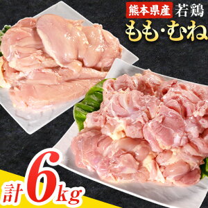 yӂ邳Ɣ[Łze { Iׂ F{Y {ނ˓ 2kg×2/ 2kg×1 v3 Ղ喞Iv6kgIs30ȓɏoח\(yj)t   { {