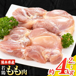 yӂ邳Ɣ[Łze { Iׂ { { 4kg F{Y { 2kg×2 s30ȓɏoח\(yj)t  { { Y ^ Ⓚ Ⓚ    