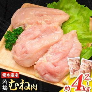yӂ邳Ɣ[Łz_eʂIׂI^e { F{Y {ނ˓ eʑIׂ 2kg ܂ 4kgs30ȓɏoח\(yj)t @  { { l {l l 