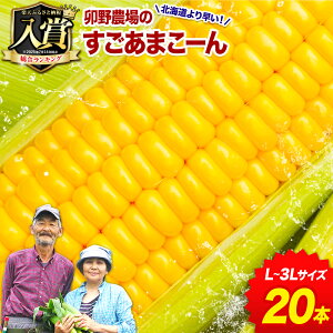 �y�ӂ邳�Ɣ[�Łz�y��s�\��z �������܂��[�� �Ƃ����낱�� �Ɋ� �X�C�[�g�R�[�� �S�[���h���b�V�� �b�� 5�{ 10�{ 20�{�s2026�N7�����{-8����{���o�ח\��t�F�{�� �Y�R�� ��� �Ė�� �R�[��