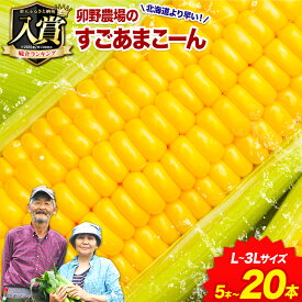 【ふるさと納税】【先行予約】 すごあまこーん とうもろこし 極甘 スイートコーン ゴールドラッシュ 恵味 5本 10本 20本《2026年7月中旬-8月上旬頃出荷予定》熊本県 産山村 野菜 夏野菜 コーン トウモロコシ 一番果 冷蔵