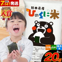 楽天市場】ふるさと納税 米 10kg 熊本の通販