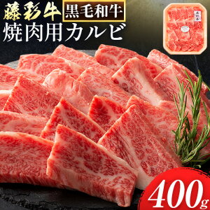 yӂ邳Ɣ[Łzʋo(Jr)ēp 400gs30ȓɏoח\(yj)tЃtW`N F{ YR   o Jr ē јay1640z