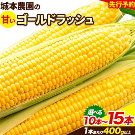 【ふるさと納税】 《先行受付開始》産地直送 朝採れスイートコーン(ゴールドラッシュ)15本セット 10本セット 特大 熊本 阿蘇 産山村 冷蔵 高糖度 夏野菜 トウモロコシ ギフト 今が旬 コーン 旬 お取り寄せ 人気 大人気 贈答 とうきび 送料無料《2026年7月中旬-8月中旬出荷》