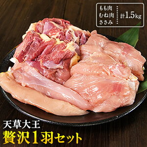 yӂ邳Ɣ[ŁzV剤 ґ1H Zbg v1.5kg yzsnFz剤t@[ s60ȓɏoח\(yj)tF{ YR { {  ނ 