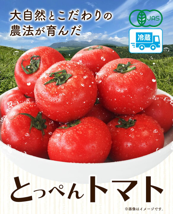 楽天市場】【ふるさと納税】《先行受付！》有機JASとっぺんトマト 約 