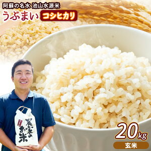 �y�ӂ邳�Ɣ[�Łz�ߘa7�N�Y ���Ԃ܂� �R�V�q�J�� �I�ׂ� ���� ���� 10kg 20kg�q���h�̖����@�r�R�����ār�s30���ȓ��ɏo�ח\��(�y���j����)�t���� �����Ђ��� ���� �Y�R ���������_��