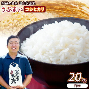 �y�ӂ邳�Ɣ[�Łz���ߘa7�N�����Ԃ܂�(�R�V�q�J��) �I�ׂ� ���� ���� 10kg 20kg�q���h�̖����@�r�R�����ār�s30���ȓ��ɏo�ח\��(�y���j����)�t���� �����Ђ��� ���� �Y�R kome ���������_��