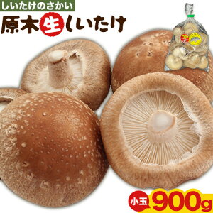 yӂ邳Ɣ[ŁzhEYRY ؐ Iׂ  900g(150g×6)  800g (200g×4) ő   ̂ s6{-11{oח\tؐ 