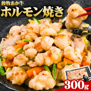 yӂ邳Ɣ[Łzq  zĂ 300g ē z Mtg 蕨 Ε  F{ h YR s30ȓɏo(yj)t   ܂