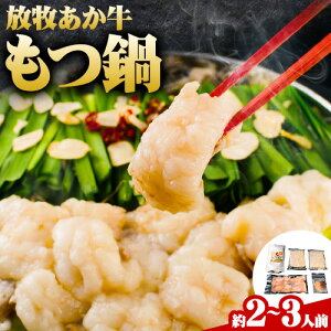 yӂ邳Ɣ[Łzq   Zbg 300g ē z Mtg 蕨 Ε  F{ h YR s30ȓɏo(yj)t    X[v l 