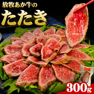 yӂ邳Ɣ[Łzq    ē  ubN Mtg 蕨 Ε  F{ h YR s60ȓɏo(yj)tubN  [Xgr[t