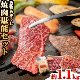 【ふるさと納税】 うぶやま村 放牧 あか牛 焼肉 堪能セット 1.1kg 焼肉正 特選バラ モモ ホルモン 赤身 詰め合わせ セット BBQ 焼き肉 和牛 牛肉 牛 国産 あか牛 くまもとあか牛 大容量 ギフト 詰め合わせ 贈り物 お歳暮 熊本 阿蘇 産山村 《60日以内に出荷(土日祝除く)》