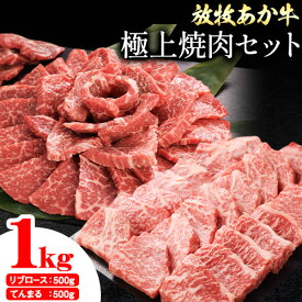 【ふるさと納税】 阿蘇うぶやま村の放牧あか牛極上焼肉セット1kg リブロース てんまる たっぷり BBQ 焼き肉 赤身 和牛 牛肉 牛 国産 あか牛 焼肉正 人気 ギフト 詰め合わせ 贈り物 お中元 お歳暮 贈答 熊本 阿蘇 産山村 送料無料《60日以内に出荷(土日祝除く)》