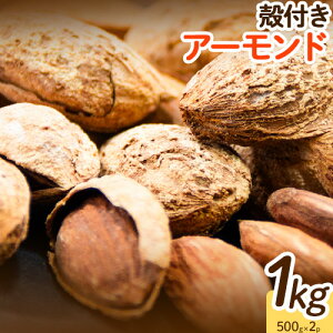 yӂ邳Ɣ[Łz ktA[h 1kg 500g 2 [Xg A[h lߍ킹 F{ h YR  ibc  Y H ۑH ~H H  e lC ] 