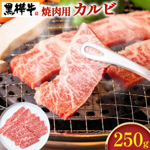 yӂ邳Ɣ[ŁzF{Yјa@ēpJr@250g DK јa    250g×1 ē Jr Y X F{   Mtg  Ε F{ h Y