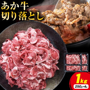 yӂ邳Ɣ[ŁzF{Y  ؗ 1kg(250g×4pbN) BYss30ȓɏoח\(yj)t bP    a