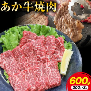 yӂ邳Ɣ[ŁzF{Y  ē 600g BYss30ȓɏoח\(yj)t   Y uh ē 