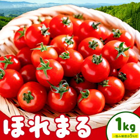 【ふるさと納税】ミニトマト ほれまる 約1kg 熊貴農園《7月上旬-11月上旬出荷》熊本県 阿蘇郡 産山村 ミニトマト トマト とまと 野菜 やさい プチトマト