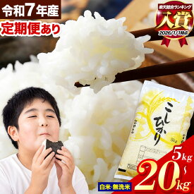 【ふるさと納税】ランキング 入賞 令和7年産 無洗米 も選べる こしひかり 5kg 10kg 20kg 定期便 2ヶ月 3ヶ月 6ヶ月 12ヶ月 も選べる 熊本県産 ふるさと納税 無洗米 白米 精米 ひの 米 ふるさとのうぜい コシヒカリ コメ お米 おこめ 小分け《出荷時期をお選びください》